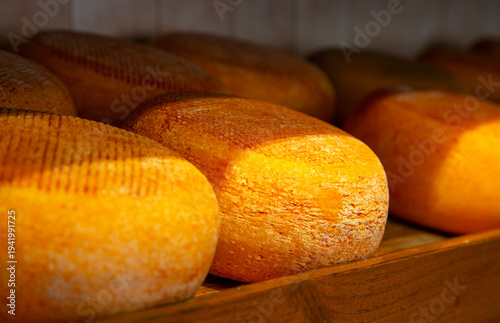 Process of making  parmesan hard cheese.