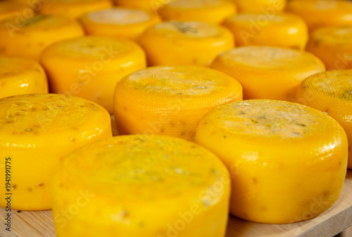 Process of making  parmesan hard cheese.