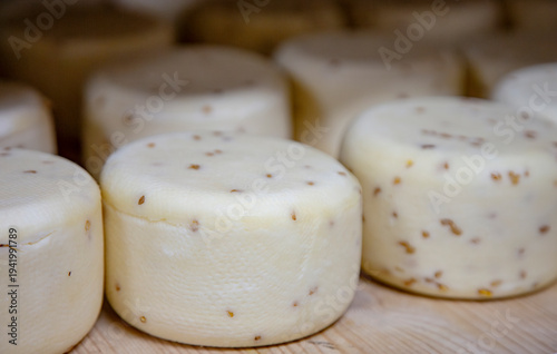 Process of making  parmesan hard cheese.