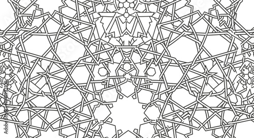 Intricate Black Lines Forming Geometric Shapes.