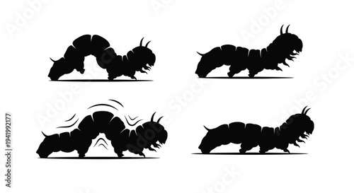 Four caterpillar illustrations in varying poses a striking silhouette