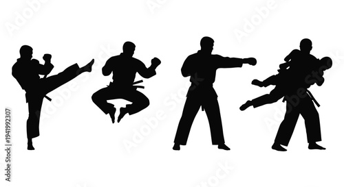 Four martial artists demonstrating dynamic poses in black silhouette