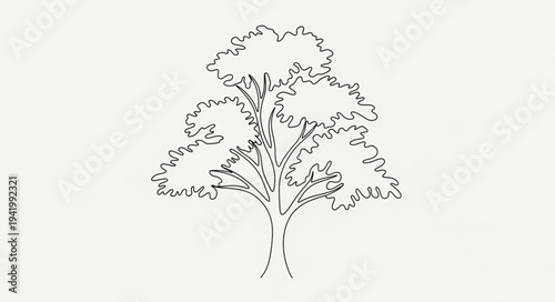 Elegant Line Drawing of a Mature Tree.