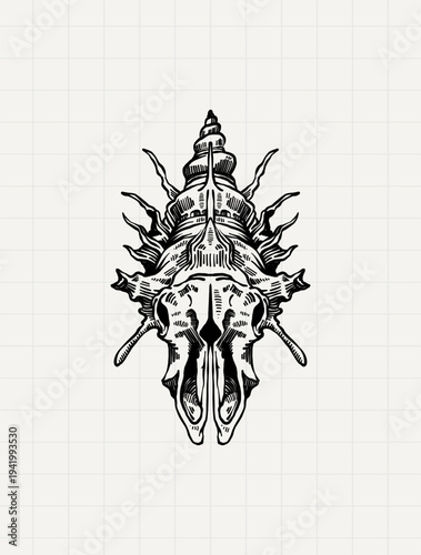 Ornamental Nautical Shell Vintage Engraving Illustration