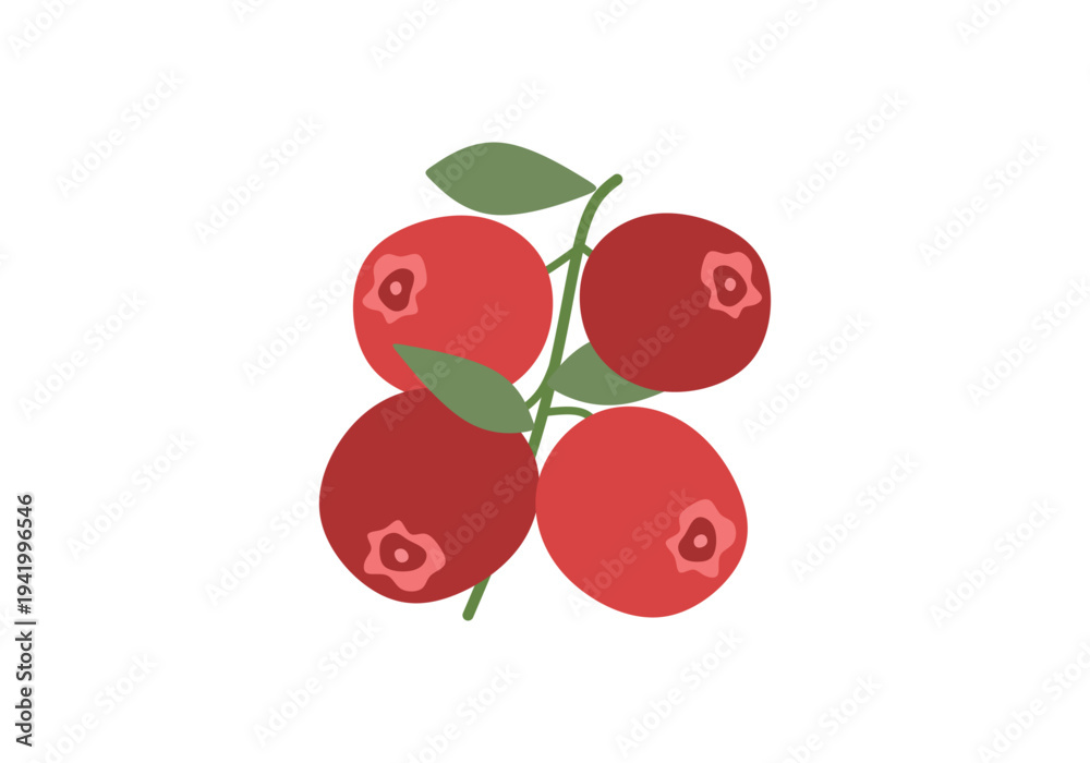 Obraz premium Cranberry flat vector illustration. Red tart berry fruit icon for autumn harvest design.
