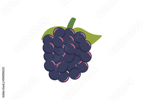 Blackberry flat vector illustration. Dark wild berry fruit icon for organic food design.