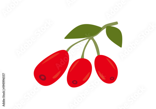 Flat goji berry vector illustration. Red organic superfood icon isolated on white background.