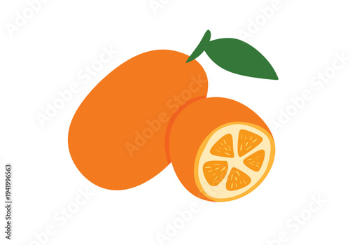 Flat kumquat vector illustration. Small orange citrus fruit icon isolated on white background.