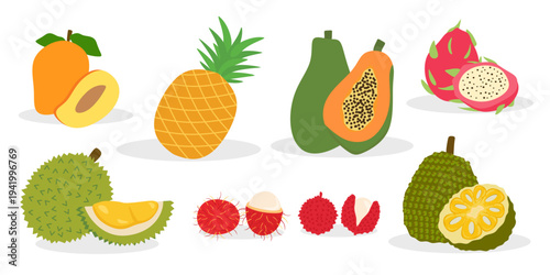 Tropical and exotic fruits set with Mango, Pineapple, Papaya and Dragon Fruit.