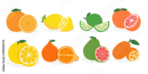 Citrus and refreshing fruits set with Orange, Lemon, Lime and Grapefruit.