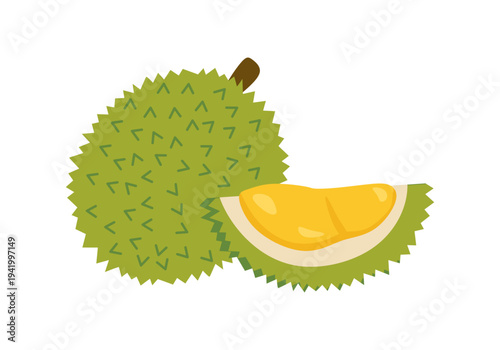 Tropical and exotic fruits flat illustration of a durian