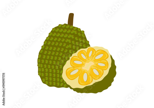 fresh jackfruit exotic fruits flat illustration 