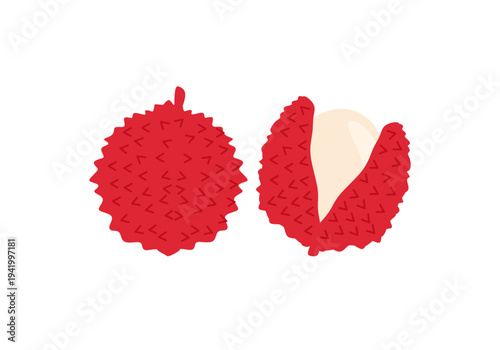 Tropical and exotic fruits flat illustration showing fresh lychee and juicy litchi