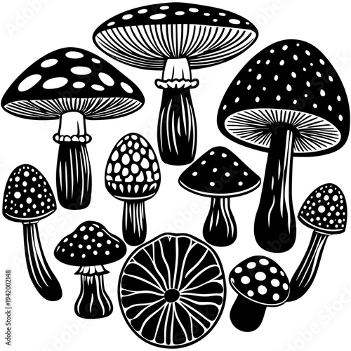 Colorful Cartoon Mushroom Vector Illustration Fantasy Forest Toadstool Set