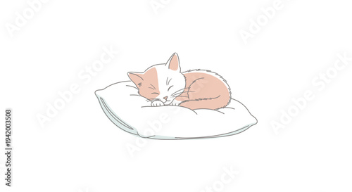 Corgi dog sleeping on pillow.