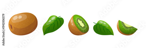 A set of vector illustrations of whole kiwis, halves and sliced kiwis with leaves for food design and branding, packaging, menus, juices, smoothies, healthy lifestyle concepts and farm products