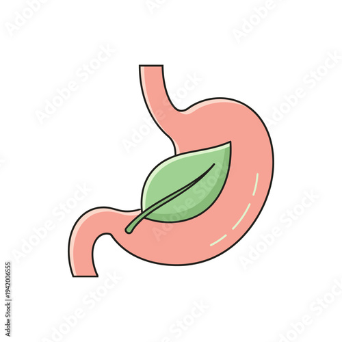 flat illustration icon of stomach with leaf symbolizing healthy digestion from diet, pastel palette