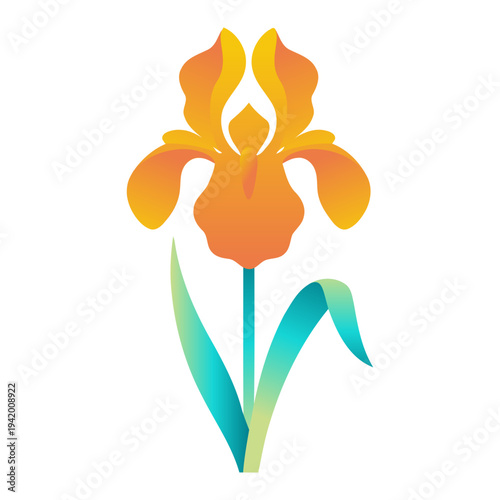 Elegant Yellow Iris Flower Illustration