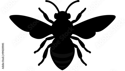 fly black silhouette icon, common insect silhouette, transparent background