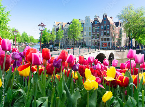 Wallpaper Mural Houses of Amstardam, Netherlands Torontodigital.ca