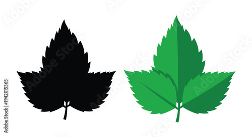 Two maple leaves one colorful and one black silhouette