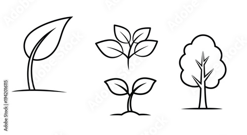 Minimalist botanical illustration featuring plants in black silhouette