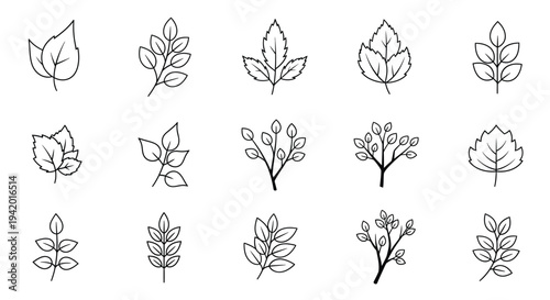 Collection of delicate leaf outlines forming a botanical silhouette