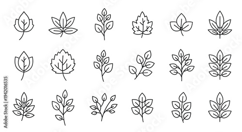 Collection of various leaf outlines in a simple minimalist silhouette