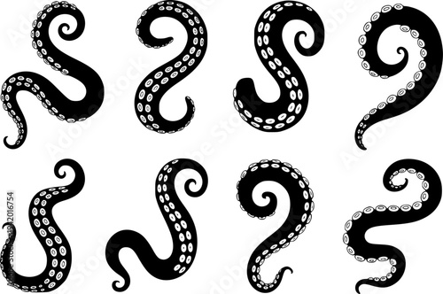 Collection of black octopus tentacles with white suction cups a white background