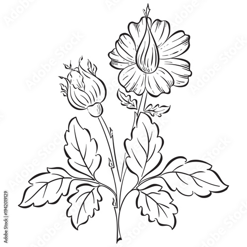 Vector flower floral black silhouette hand drawn. Botanical illustration on white background. Elegant spring nature element with leaves, flowers, branches
