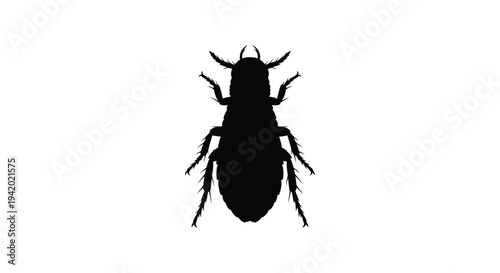 A striking black silhouette of an insect with unique features silhouette