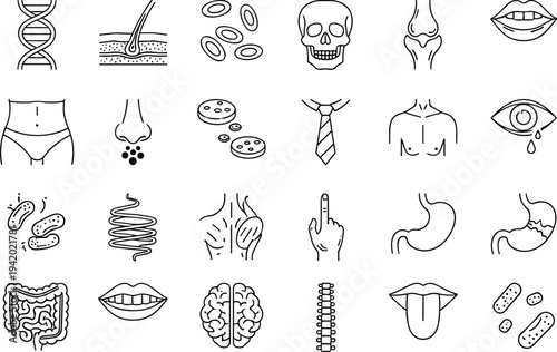 Human body anatomy line icons set, medical organs skeleton dna brain stomach bacteria healthcare outline vector illustration collection