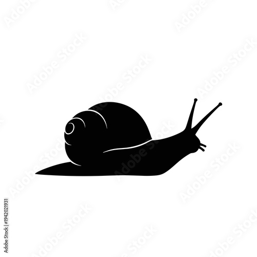 Snail Vector Silhouette Isolated on White Background
