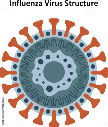 An informative scientific illustration details the various components of an influenza virus particle