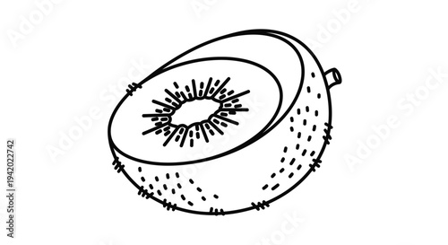 Drawing of a Coconut Fruit.