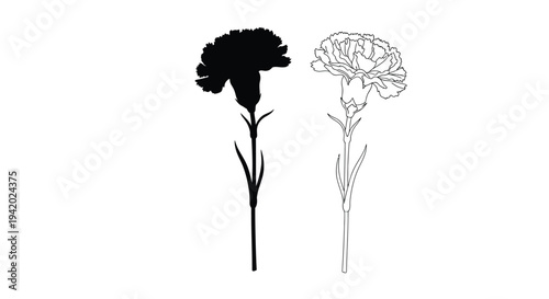Carnation flower illustration with a bold black silhouette