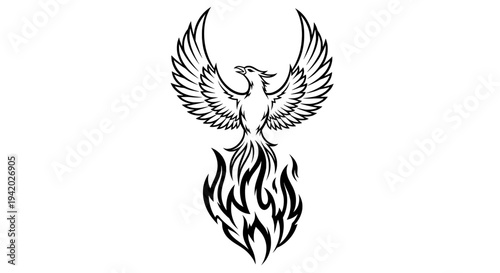 black white line drawing phoenix bird flight