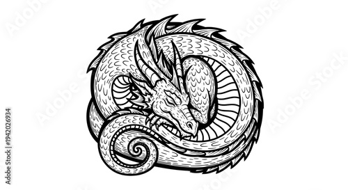 intricate black and white dragon head line drawing