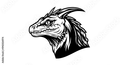 fierce black and white dragon head sketch