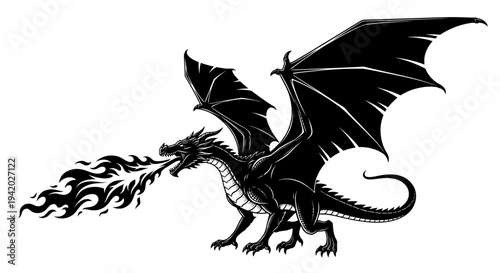 fierce black and white dragon breathing fire