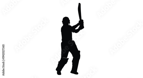 A cricketer prepares to hit a ball depicted in dark silhouette