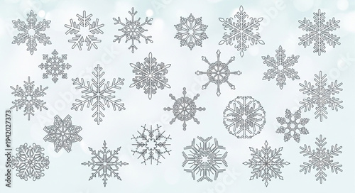 Collection of Various Snowflakes with Unique Patterns.