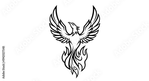 black white line drawing phoenix bird flight