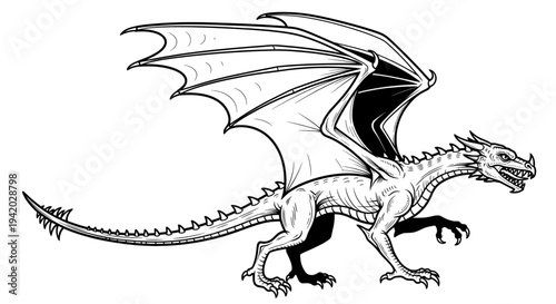 minimalist black and white dragon line drawing