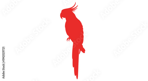A striking red parrot profile is displayed as a clean silhouette