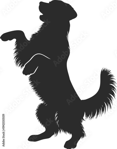 Dog silhouette, golden retriever, golden retriever dog silhouette vector illustration, golden retriever standing dog icon, domestic pet animal symbol design
