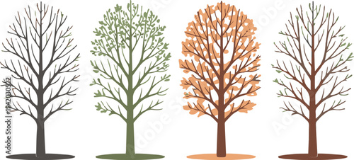 Four Seasons Tree Vector Illustration: Winter, Spring, Summer, and Autumn Life Cycle