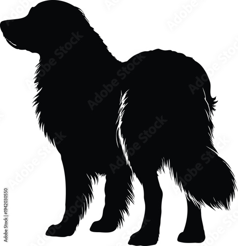 Dog silhouette, golden retriever, golden retriever dog silhouette vector illustration, golden retriever standing dog icon, domestic pet animal symbol design
