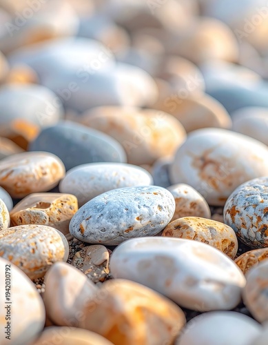 Wallpaper Mural A close-up view showcases a collection of smooth, rounded pebbles in varying shades of white, gray, and tan, bathed in warm sunlight, creating a textured and natural aesthetic. Torontodigital.ca