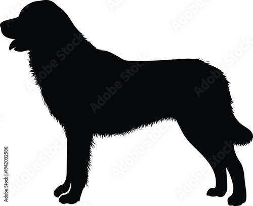 "Labrador retriever dog silhouette vector illustration, black labrador retriever dog breed icon, domestic pet animal symbol design, labrador retriever, labrador dog, labrador silhouette, dog silhouett